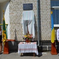 DSC 0106 Копировать