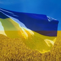 flag naci11i