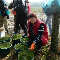 DSCN8669 Копировать
