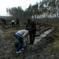 DSCN8701 Копировать