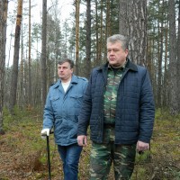 DSCN8609 Копировать