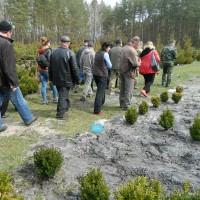 DSCN8651 Копировать