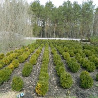 DSCN8652 Копировать