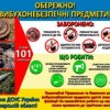 дснс
