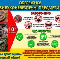 дснс