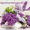 муз